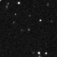 2022pyg_image