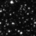 2022pz_image