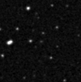 2022pzp_image