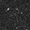 2022qfm_image