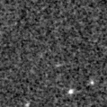 2022qll_image