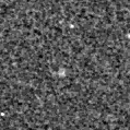 2022qqt_image
