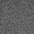 2022qug_image