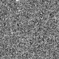 2022qvq_image