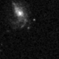 2022qzg_image