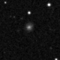 2022rbw_image