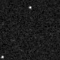 2022rex_image