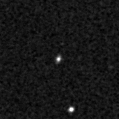 2022rfd_image