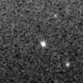 2022ryb_image