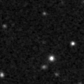 2022see_image