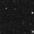 2022sfn_image