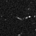 2022sij_image