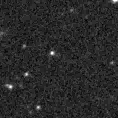 2022sja_image
