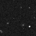 2022sle_image