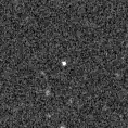 2022snn_image