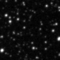 2022spt_image