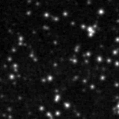 2022srb_image