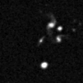 2022srf_image