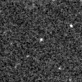 2022stq_image
