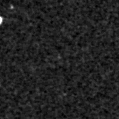 2022sxu_image