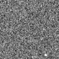 2022syy_image