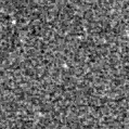 2022tew_image