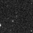 2022tex_image