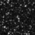 2022thf_image