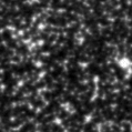 2022tlp_image