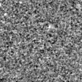 2022tmx_image