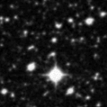 2022trf_image
