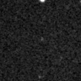 2022tty_image