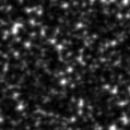 2022vec_image