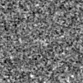 2022vwl_image