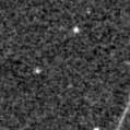 2022vxt_image