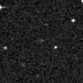 2022w_image