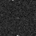 2022wca_image