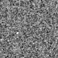 2022wdz_image