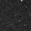 2022wla_image