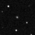 2022wlg_image