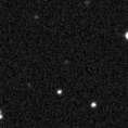 2022wlt_image