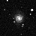 2022wma_image