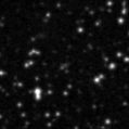 2022wmp_image