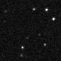 2022wpl_image
