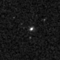 2022wpo_image