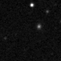 2022wsk_image