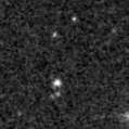 2022wzj_image