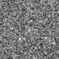 2022wzp_image