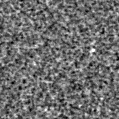 2022xfj_image