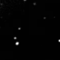 2022xlm_image